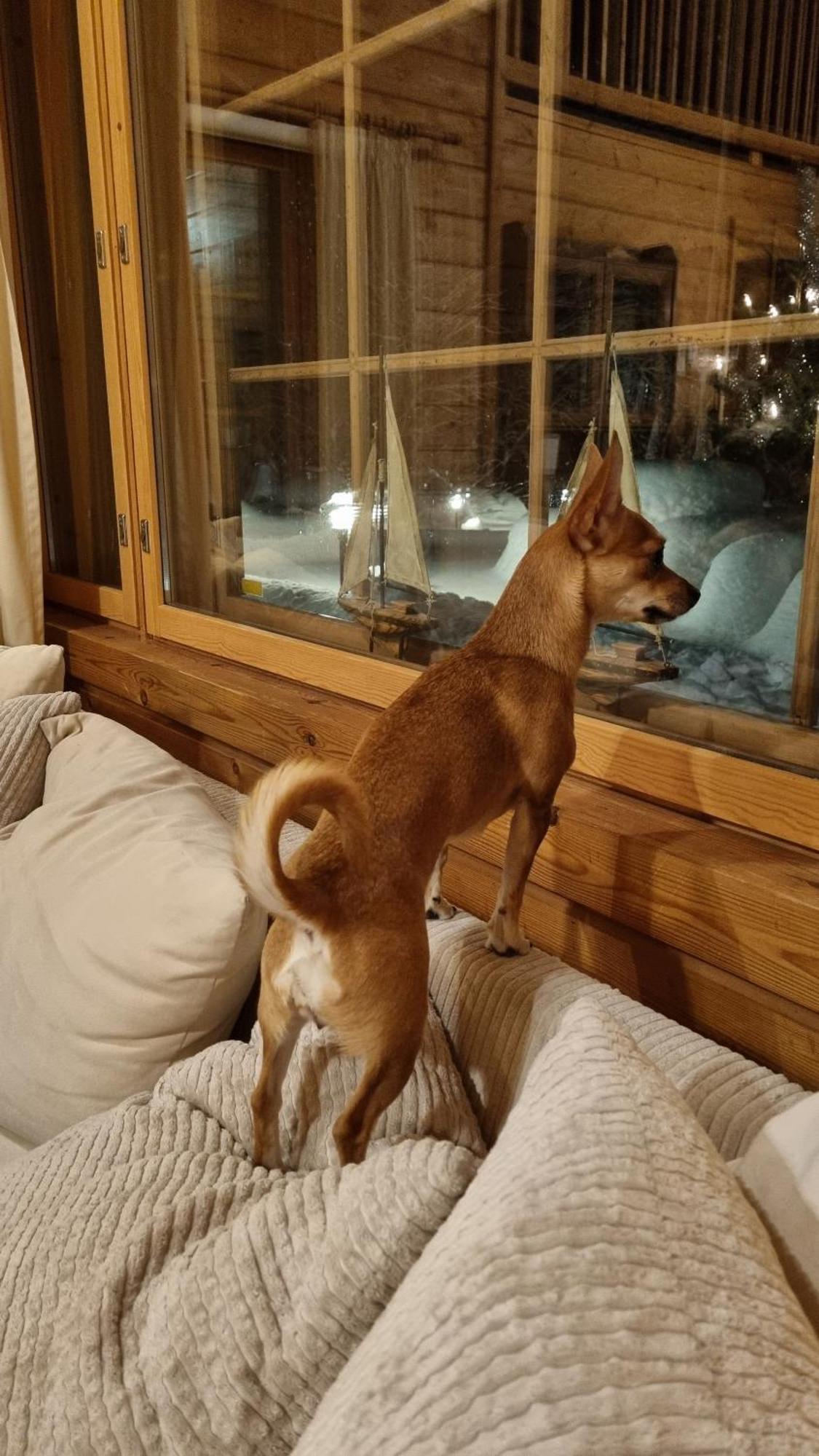Villa Struka Pyhtaa エクステリア 写真